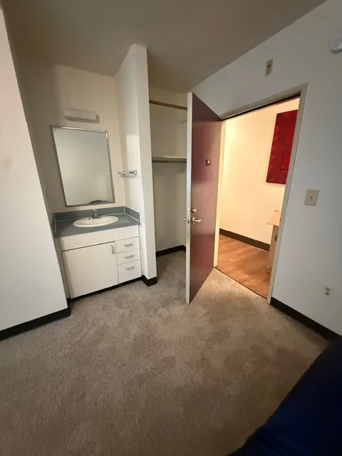 Vanity sink and closet in a Barbara Maher studio apartment